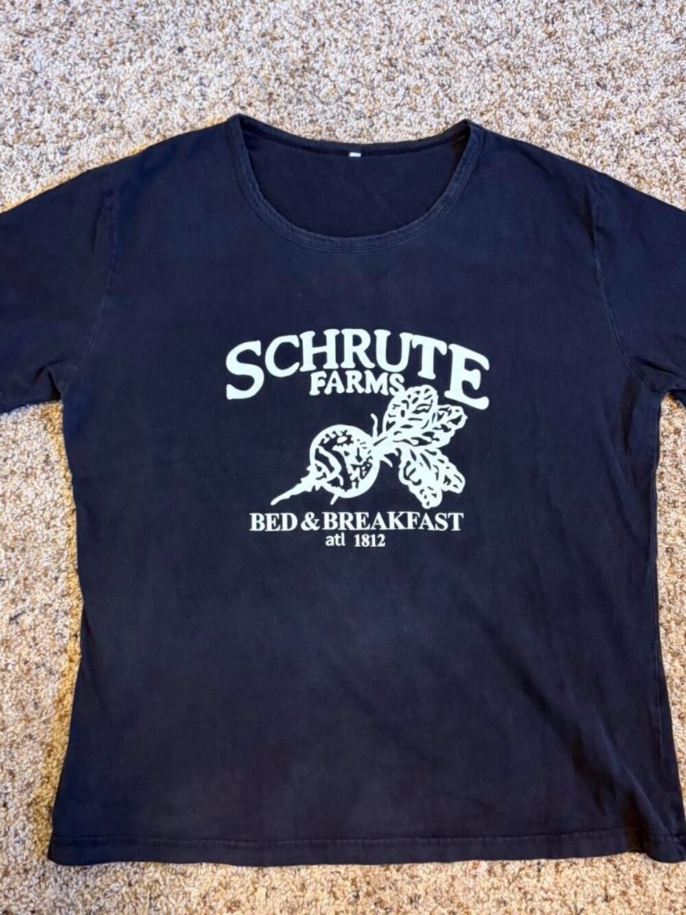 The Office Schrute Farms Bed and Breakfast Tee